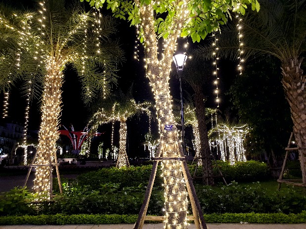 Quấn đèn dây trang trí Led đẹp trên thân cây tại Hải Phòng